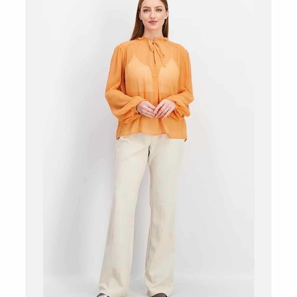 Joie The Jindrah Silk Long Sleeve Sheer Top Buckskin Size Medium - Picture 13 of 13